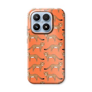 Cheetah