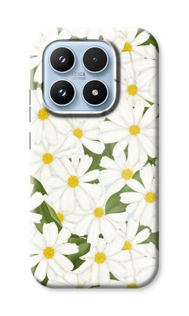 Summer Daisies