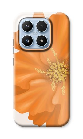 Orange Ellila flower