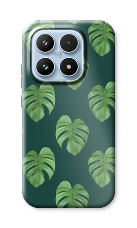Monstera leaves