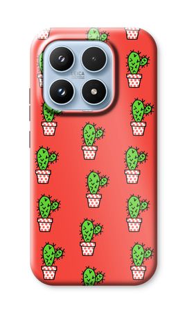 Mini cactus