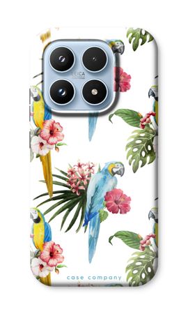 Colourful parrots