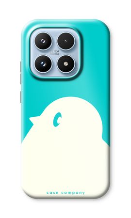 BIG Robin 2