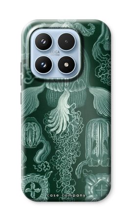 Haeckel Cubomedusae