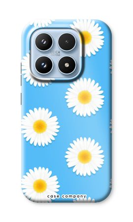 Daisies