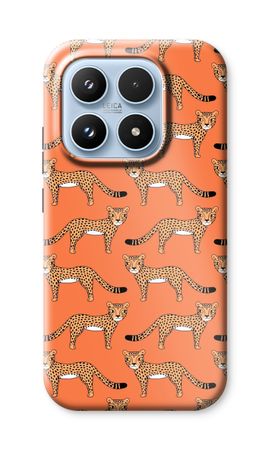 Cheetah
