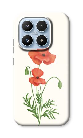 Red poppy