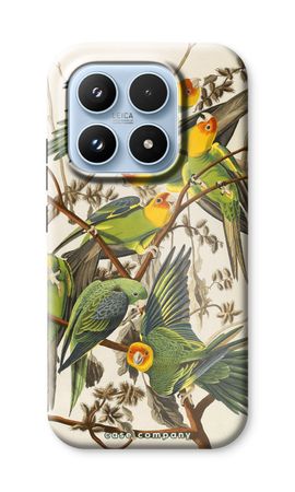 Carolina Parrot