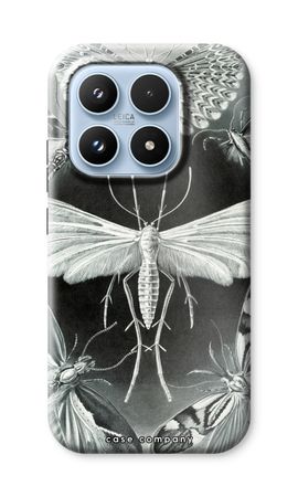 Haeckel Tineida