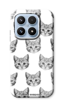 Kitten