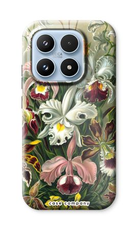 Haeckel Orchidae