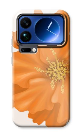 Orange Ellila flower